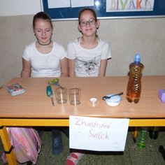 Obrázek