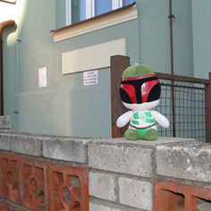 Obrázek