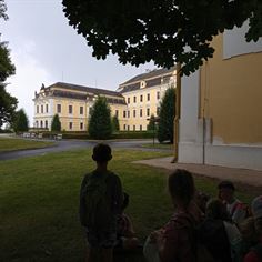 Obrázek