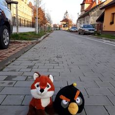 Obrázek