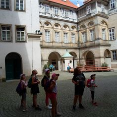 Obrázek