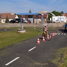 Obrázek