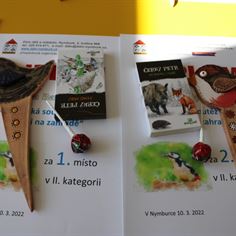 Obrázek